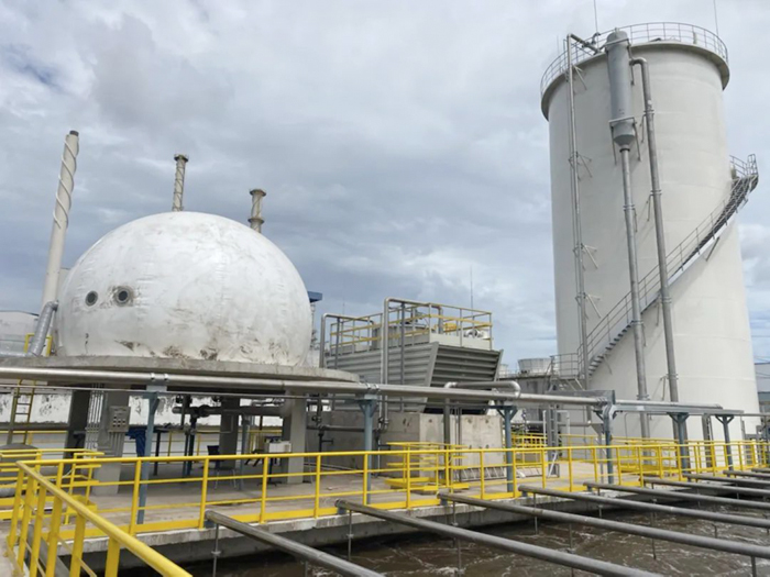 62cf83c053813.jpg 1.jpg